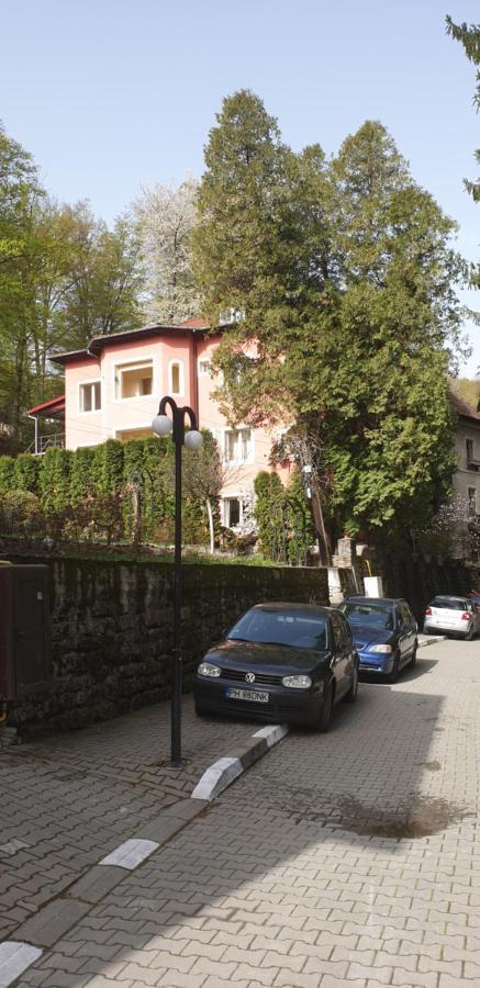 Băile Olăneşti Rosa Villa מראה חיצוני תמונה