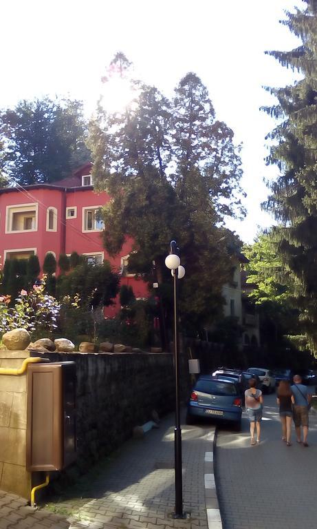 Băile Olăneşti Rosa Villa מראה חיצוני תמונה